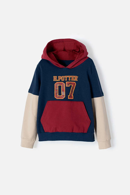 BUZO DE HARRY POTTER CERRADO MULTICOLOR UNISEX