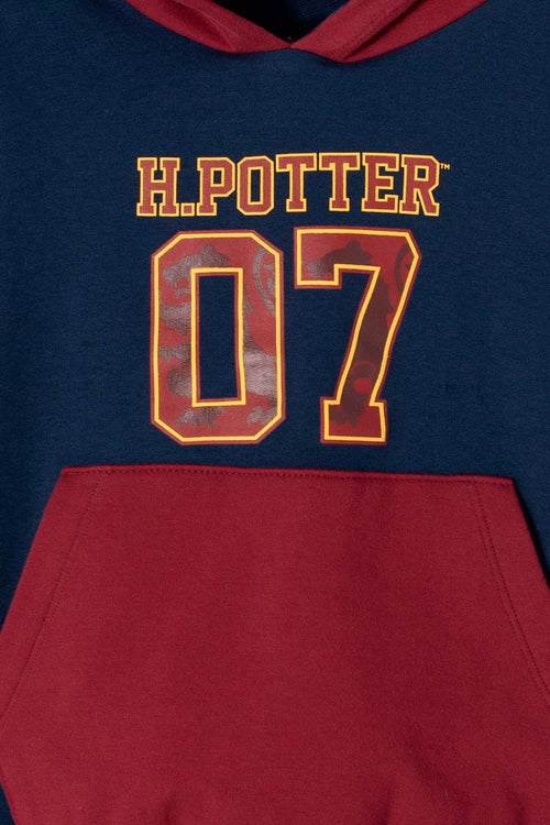 HARRY POTTER CLOSED MULTICOLOR UNISEX SWEATSHIRT