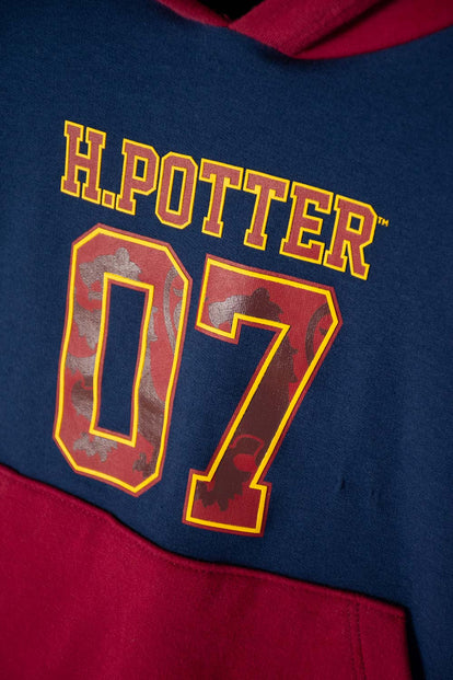 BUZO DE HARRY POTTER CERRADO MULTICOLOR UNISEX