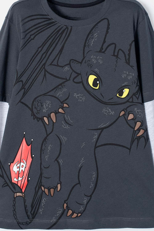 HOW TO TRAIN YOUR DRAGON GREY LONG SLEEVE T-SHIRT FOR KIDS