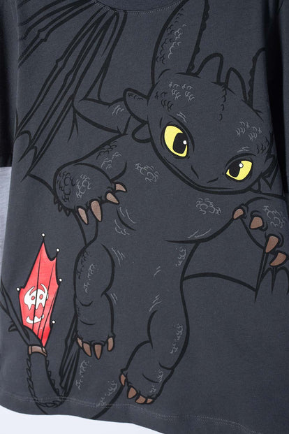 CAMISETA DE CÓMO ENTRENAR A TU DRAGÓN GRIS MANGA LARGA PARA NIÑO