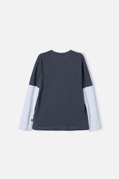 CAMISETA DE CÓMO ENTRENAR A TU DRAGÓN GRIS MANGA LARGA PARA NIÑO