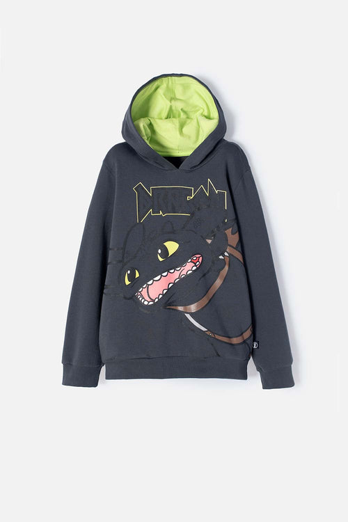 HOW TO TRAIN YOUR DRAGON GRAY AND GREEN HOODED SWEATSHIRT FOR BOYS