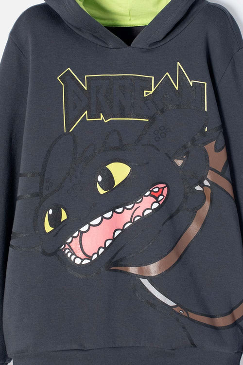HOW TO TRAIN YOUR DRAGON GRAY AND GREEN HOODED SWEATSHIRT FOR BOYS