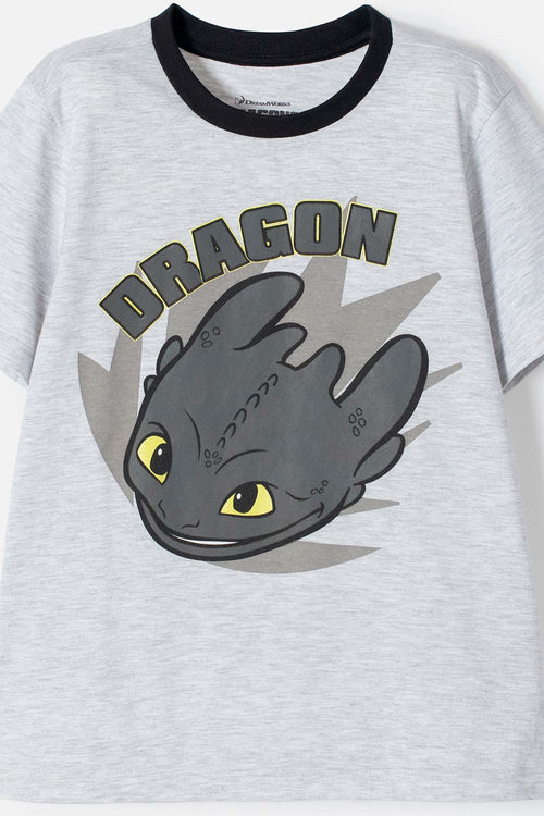 HOW TO TRAIN YOUR DRAGON GRAY AND BLACK LONG-PANTS PAJAMAS FOR BOYS