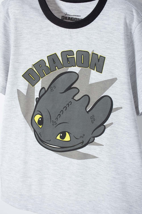 HOW TO TRAIN YOUR DRAGON GRAY AND BLACK LONG-PANTS PAJAMAS FOR BOYS