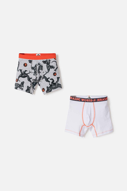 PACK X2 MULTICOLOR JURASSIC WORLD BOXERS FOR BOY