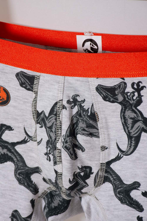 PACK X2 MULTICOLOR JURASSIC WORLD BOXERS FOR BOY