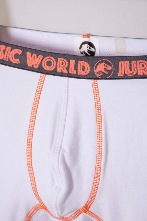 PACK X2 MULTICOLOR JURASSIC WORLD BOXERS FOR BOY