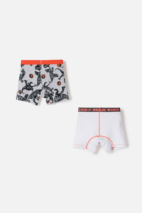 PACK X2 MULTICOLOR JURASSIC WORLD BOXERS FOR BOY