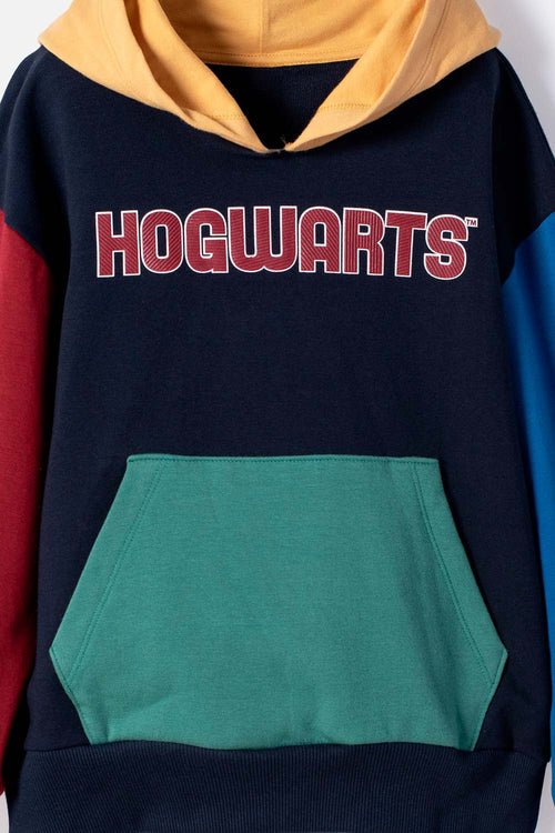 MULTICOLOR HARRY POTTER HOODIE FOR BOYS