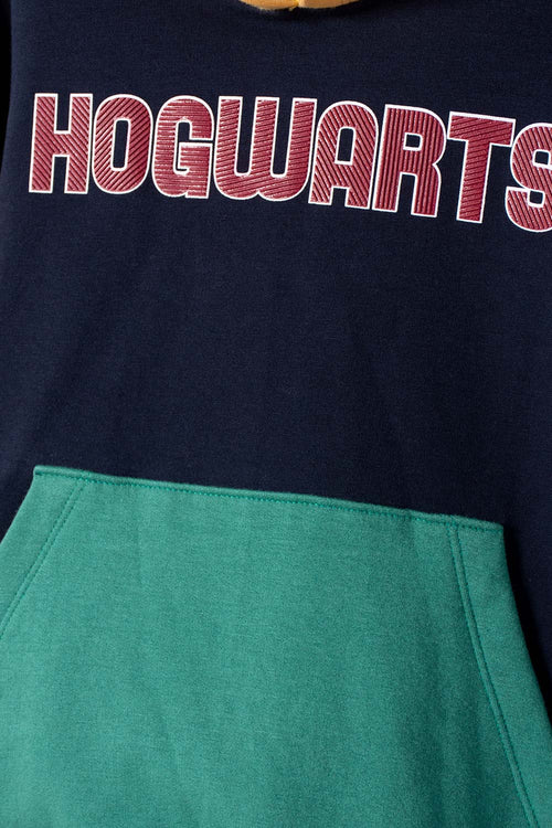 MULTICOLOR HARRY POTTER HOODIE FOR BOYS