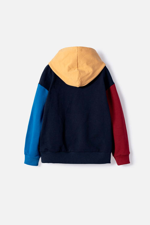 MULTICOLOR HARRY POTTER HOODIE FOR BOYS
