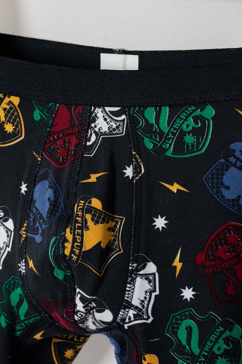 HARRY POTTER MULTICOLOR 2-PACK BOYS' BOXER BRIEFS