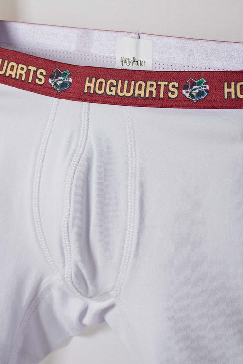 HARRY POTTER MULTICOLOR 2-PACK BOYS' BOXER BRIEFS
