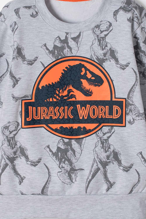 JURASSIC WORLD GRAY OUTFIT FOR BOYS