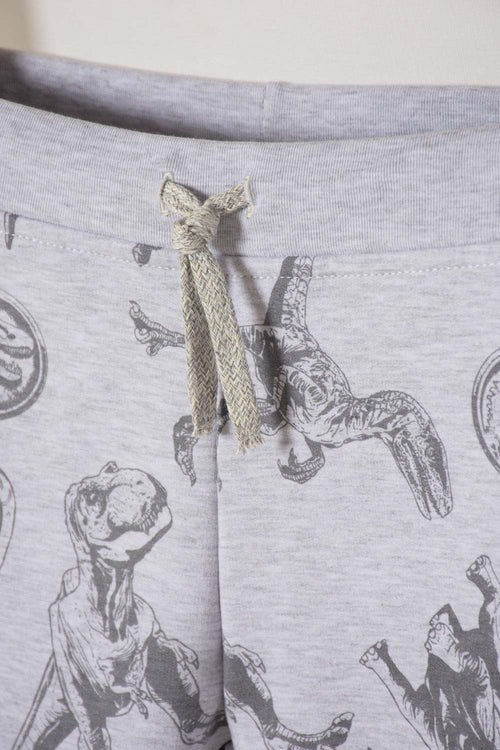 JURASSIC WORLD GRAY OUTFIT FOR BOYS