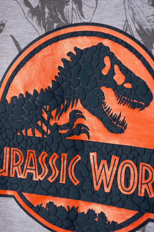 JURASSIC WORLD GRAY OUTFIT FOR BOYS