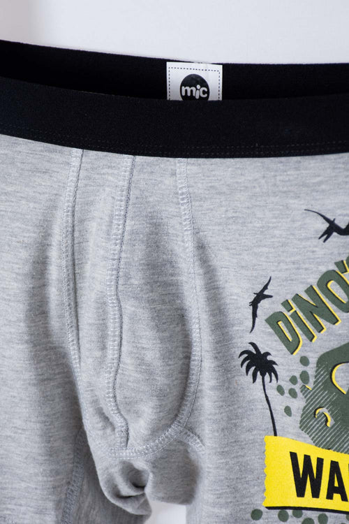 BOYS' GREY AND GREEN DINOSAUR MICROFIBER BOXER BRIEFS DUO