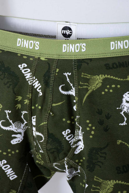 DÚO DE BÓXER MIC DINOSAURIOS GRIS Y VERDE PARA NIÑO