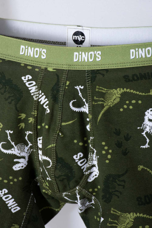 BOYS' GREY AND GREEN DINOSAUR MICROFIBER BOXER BRIEFS DUO