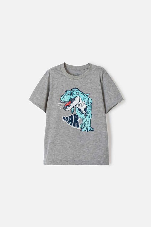 CAMISETA DE NIÑO, MANGA CORTA  GRIS DE MIC