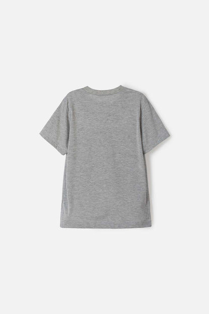 CAMISETA DE NIÑO, MANGA CORTA  GRIS DE MIC