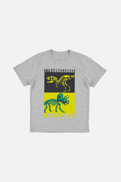 CAMISETA DE DINOSAURIOS MANGA CORTA GRIS PARA NIÑO