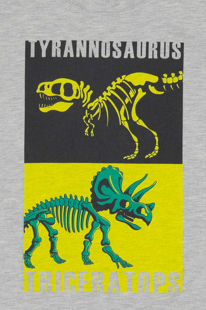 CAMISETA DE DINOSAURIOS MANGA CORTA GRIS PARA NIÑO