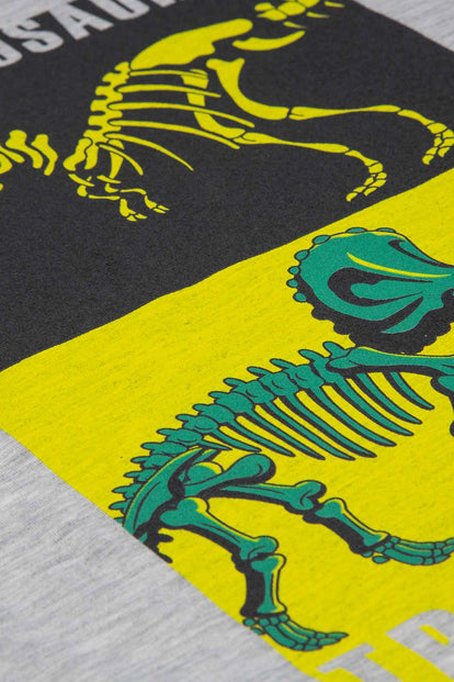 CAMISETA DE DINOSAURIOS MANGA CORTA GRIS PARA NIÑO