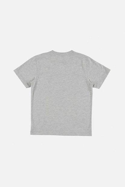 CAMISETA DE DINOSAURIOS MANGA CORTA GRIS PARA NIÑO