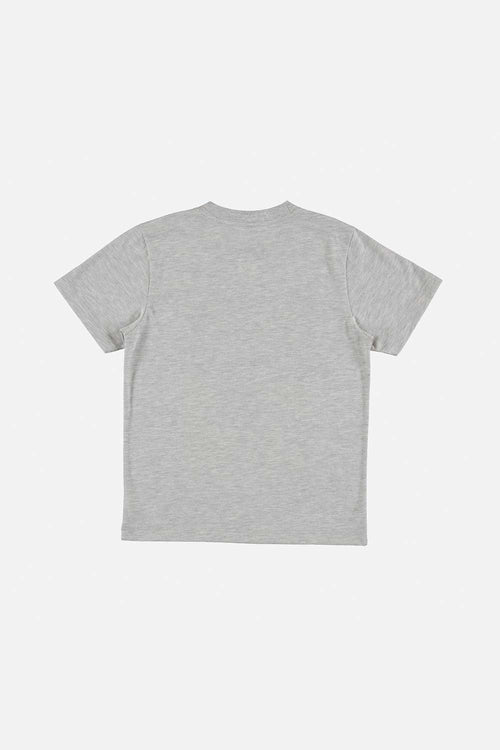 CAMISETA DE DINOSAURIOS MANGA CORTA GRIS PARA NIÑO