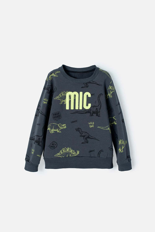 BOY'S GREY CREW NECK SWEATER