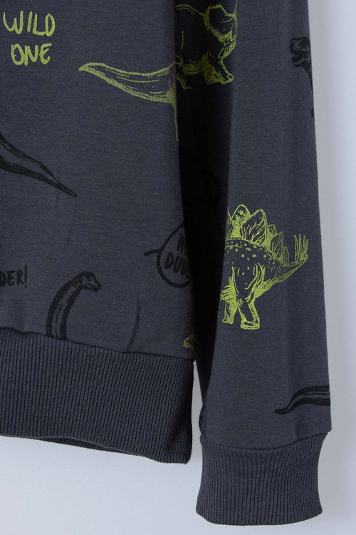 BOY'S GREY CREW NECK SWEATER