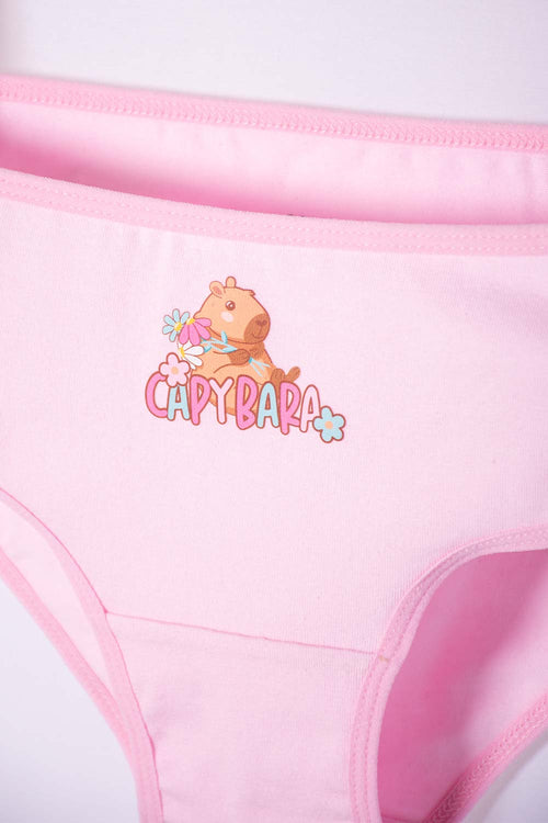 PACK X2 GIRLS' PINK AND WHITE CAPYBARA PANTIES