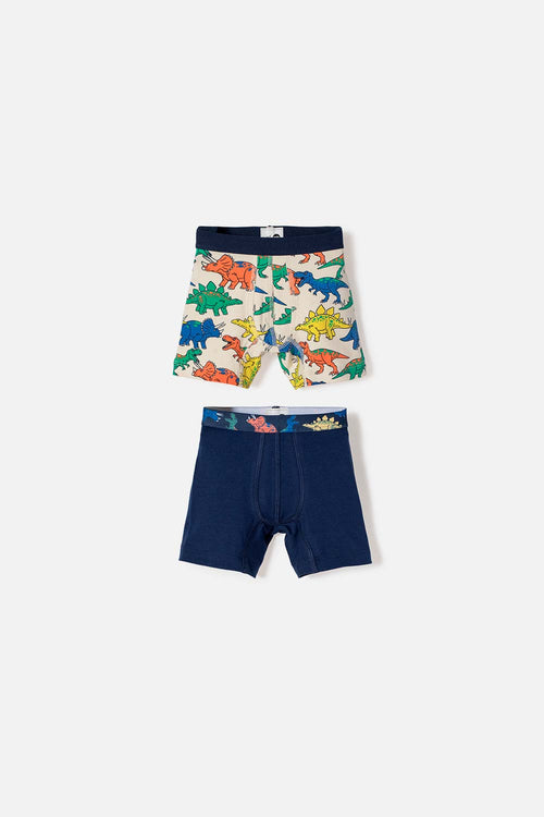 2-PACK LITTLEMIC MULTICOLOR BOYS' BOXERS SIZE 2T TO 6T