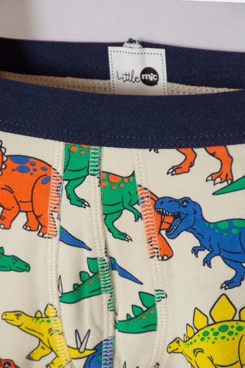 2-PACK LITTLEMIC MULTICOLOR BOYS' BOXERS SIZE 2T TO 6T