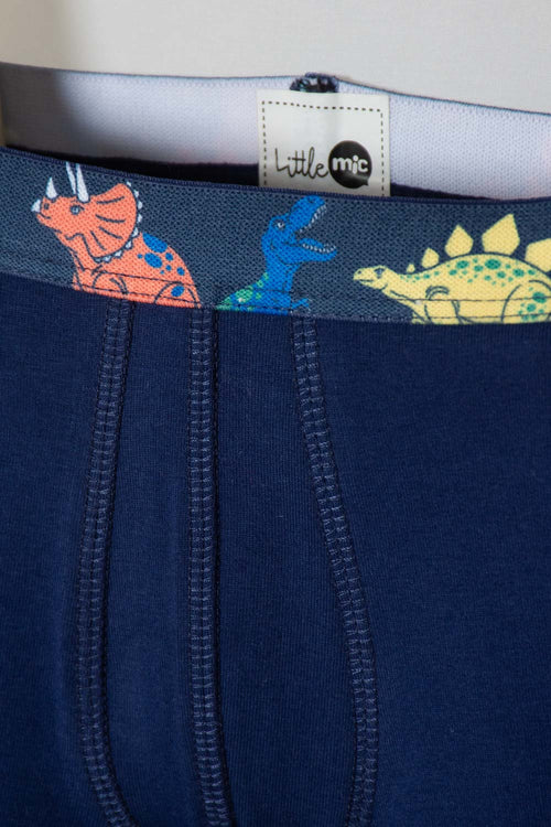 2-PACK LITTLEMIC MULTICOLOR BOYS' BOXERS SIZE 2T TO 6T
