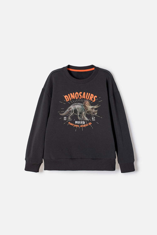 BOY'S GREY CREW NECK SWEATSHIRT