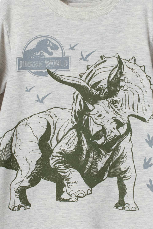 JURASSIC WORLD HEATHER GREY LONG SLEEVE T-SHIRT FOR BOYS 2T TO 5T