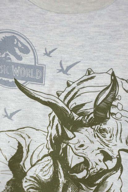 CAMISETA DE JURASSIC WORLD GRIS JASPE MANGA LARGA PARA NIÑO 2T A 5T