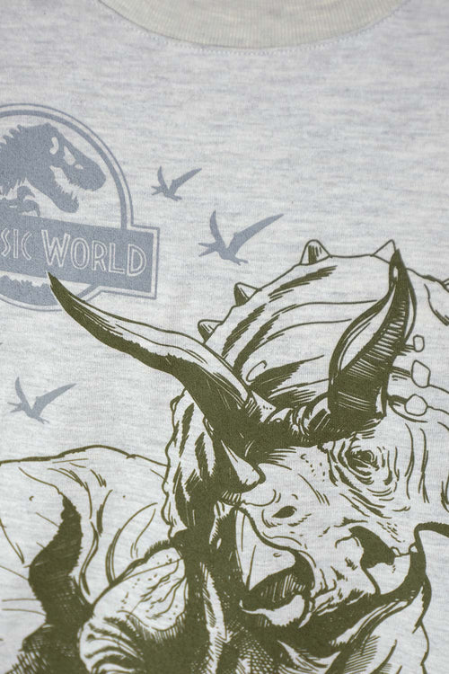 JURASSIC WORLD HEATHER GREY LONG SLEEVE T-SHIRT FOR BOYS 2T TO 5T