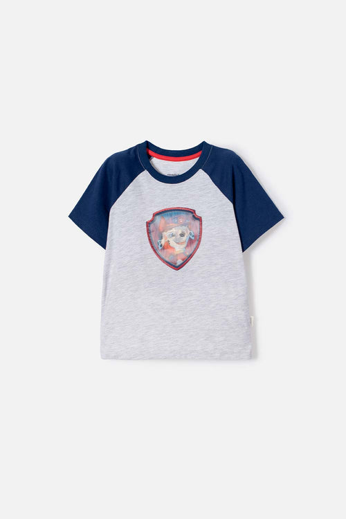 PAW PATROL SHORT SLEEVE GREY TODDLER T-SHIRT 2T TO 6T