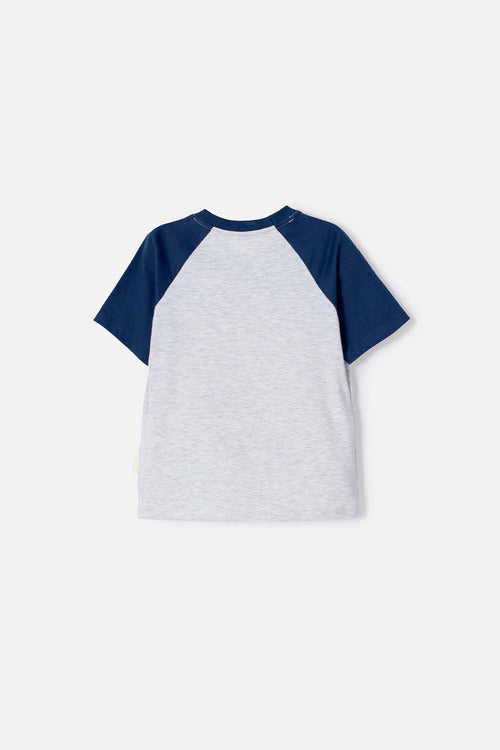 PAW PATROL SHORT SLEEVE GREY TODDLER T-SHIRT 2T TO 6T