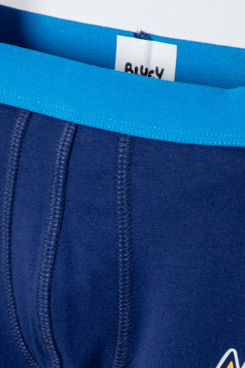 2-PACK BLUE BLUEY BOXERS FOR BOYS 2T TO 6T