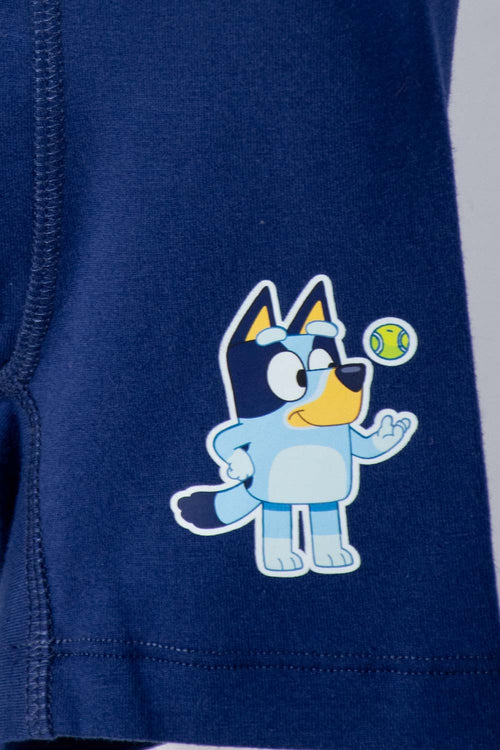 2-PACK BLUE BLUEY BOXERS FOR BOYS 2T TO 6T