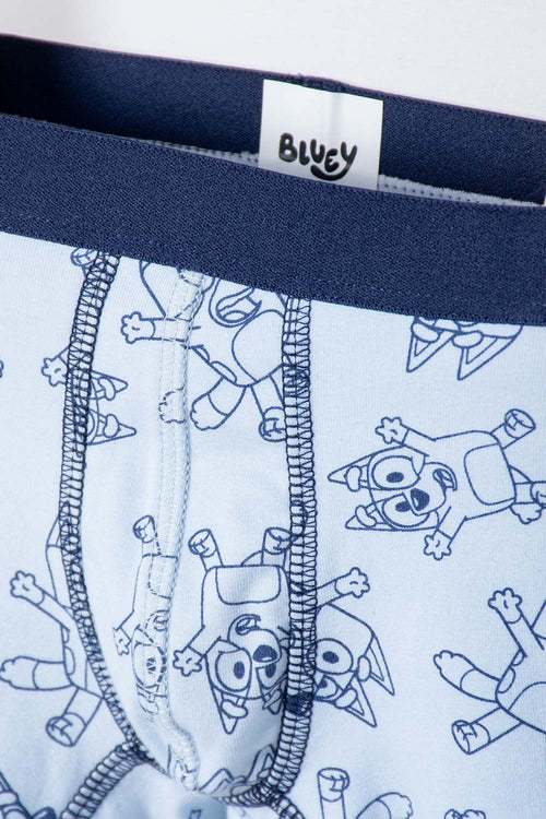 2-PACK BLUE BLUEY BOXERS FOR BOYS 2T TO 6T